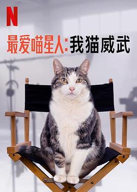 最爱喵星人：我猫威武